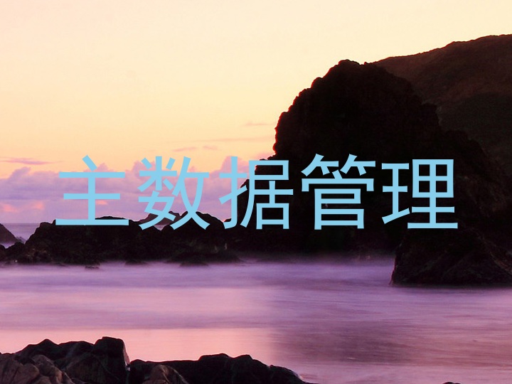 主数据管理