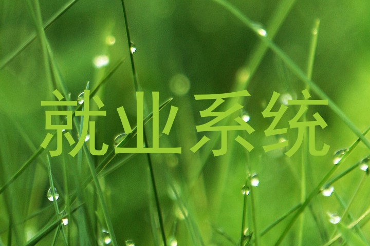就业系统