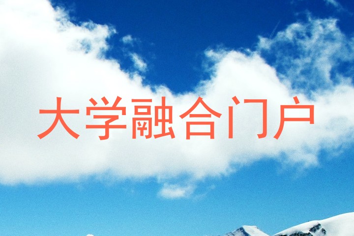 大学融合门户
