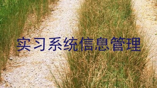 实习系统信息管理