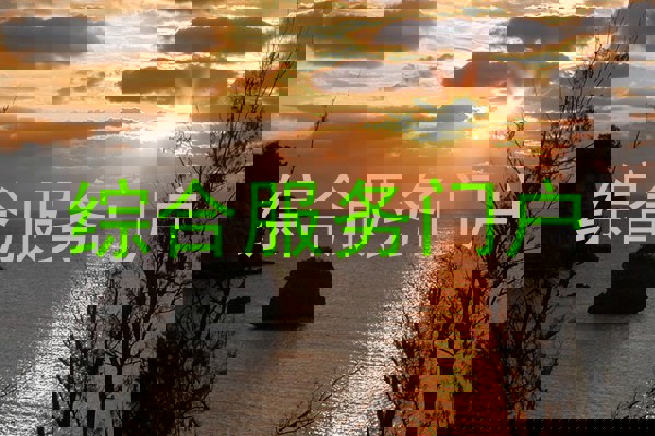 综合服务门户