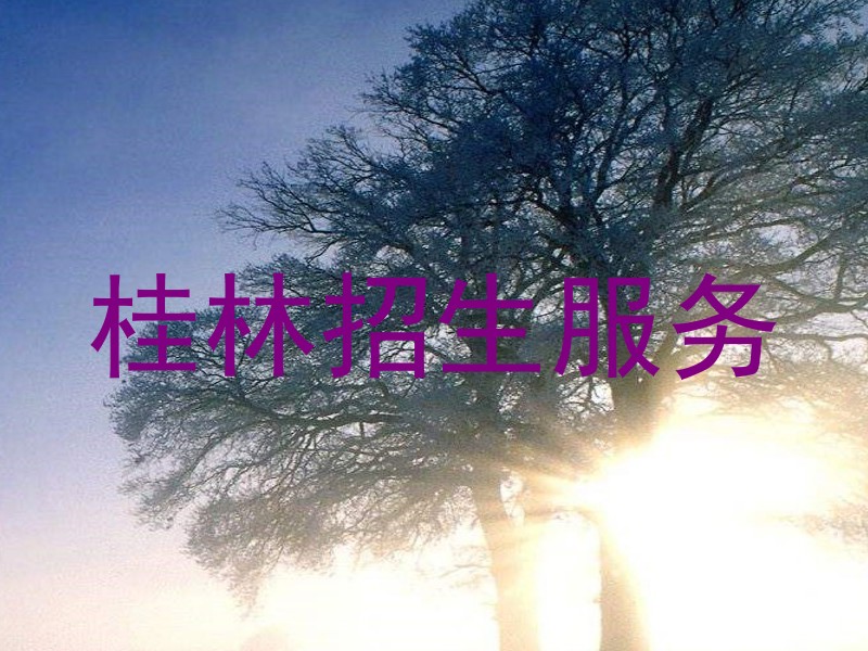 桂林招生服务