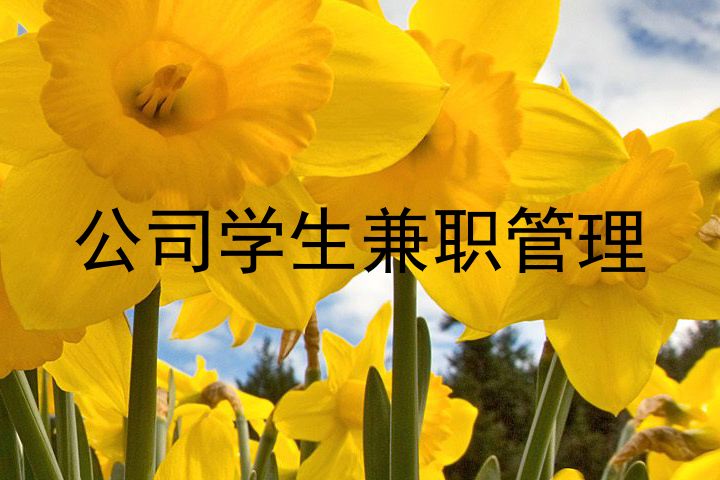 公司学生兼职管理