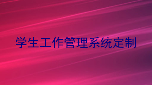 学生工作管理系统定制