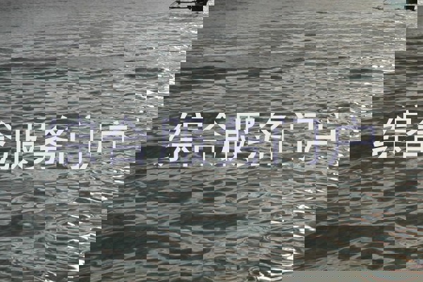 综合服务门户