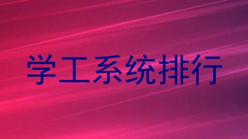学工系统排行