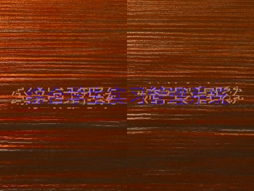 综合学生实习管理系统
