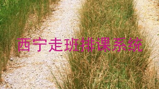 西宁走班排课系统