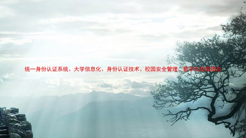 统一身份认证系统、大学信息化、身份认证技术、校园安全管理、数字化校园建设