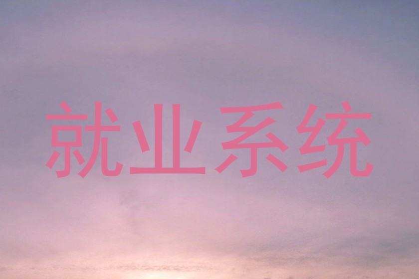 就业系统