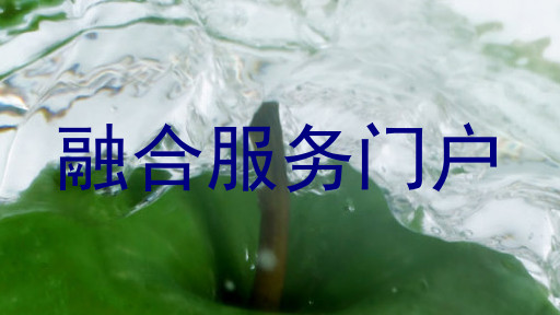 融合服务门户