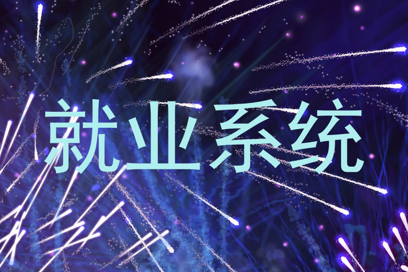 就业系统