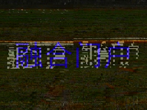 融合门户