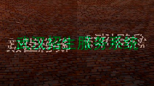 武汉招生服务系统