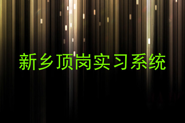 新乡顶岗实习系统