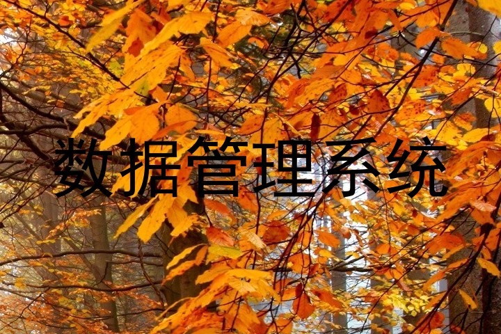 数据管理系统