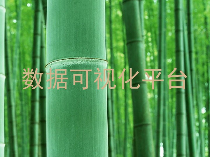 数据可视化平台