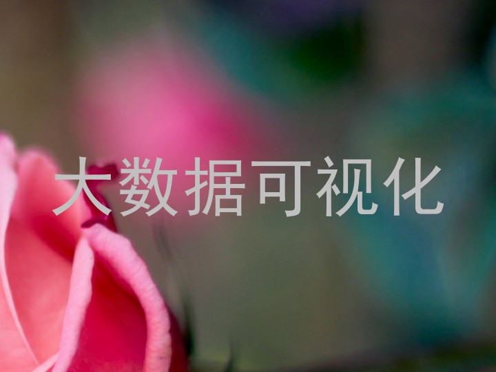 大数据可视化