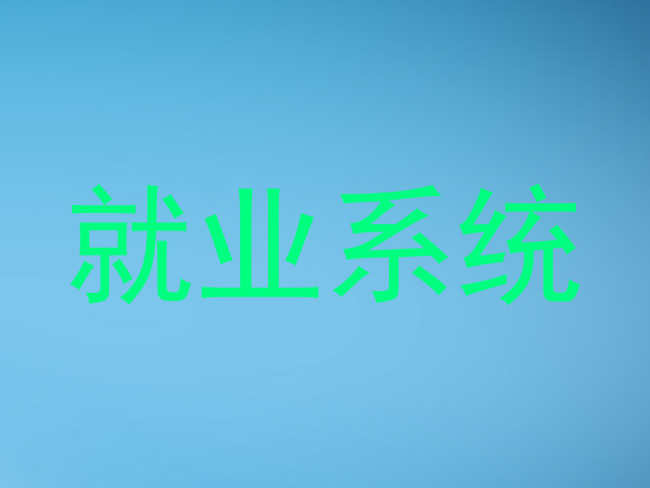 就业系统