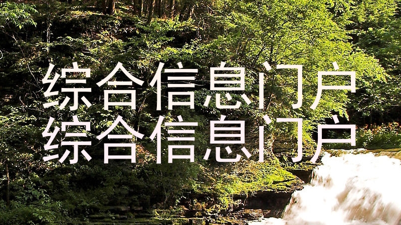 综合信息门户|综合信息门户
