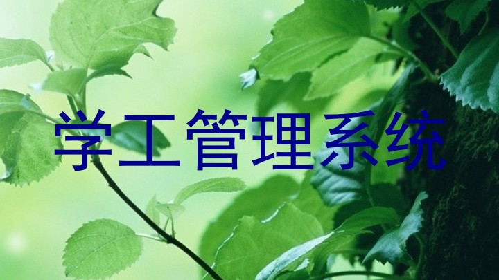 学工管理系统