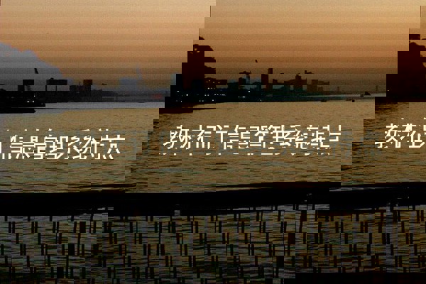 教材征订信息管理系统特点
