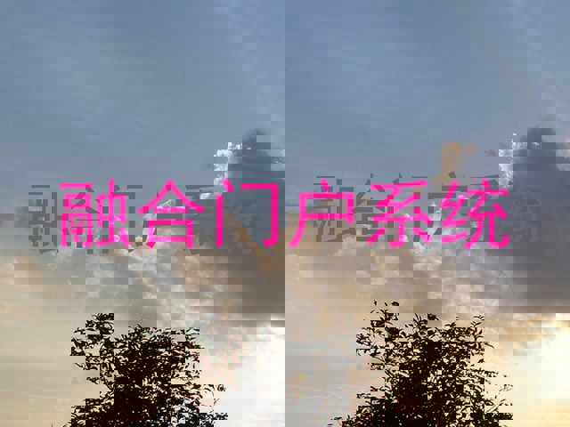 融合门户系统