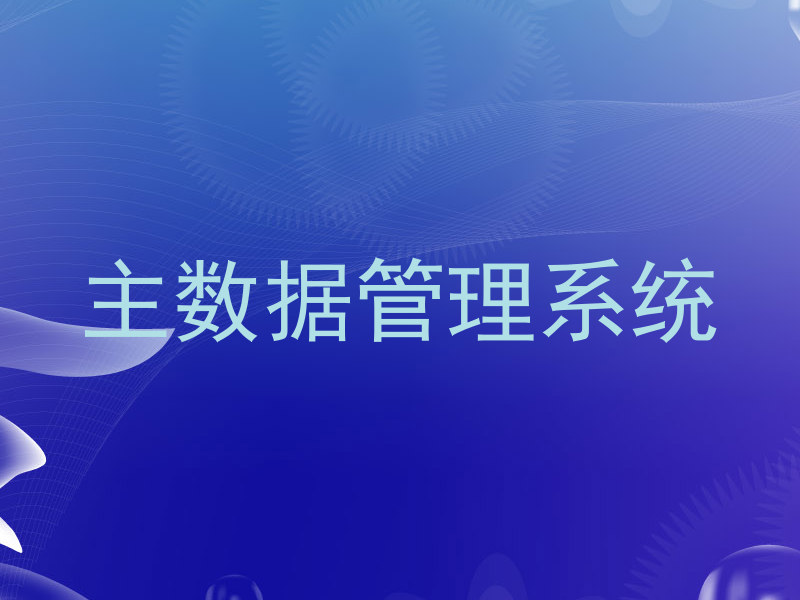 主数据管理系统