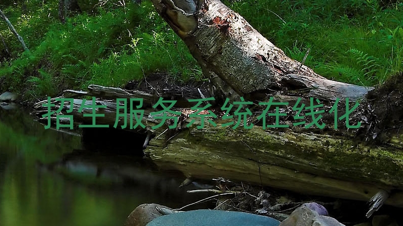 招生服务系统在线化