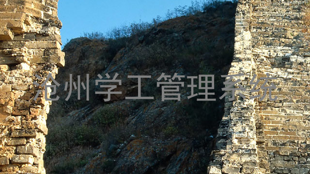 沧州学工管理系统