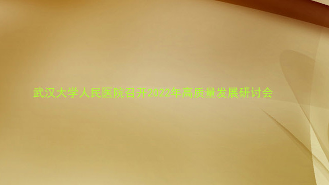 武汉大学人民医院召开2022年高质量发展研讨会