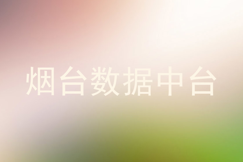 烟台数据中台