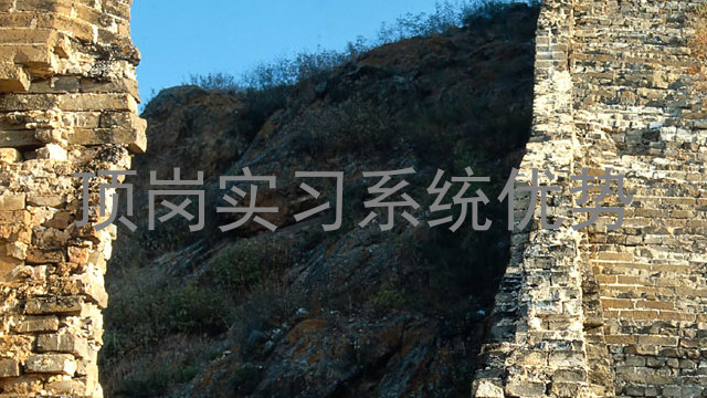 顶岗实习系统优势
