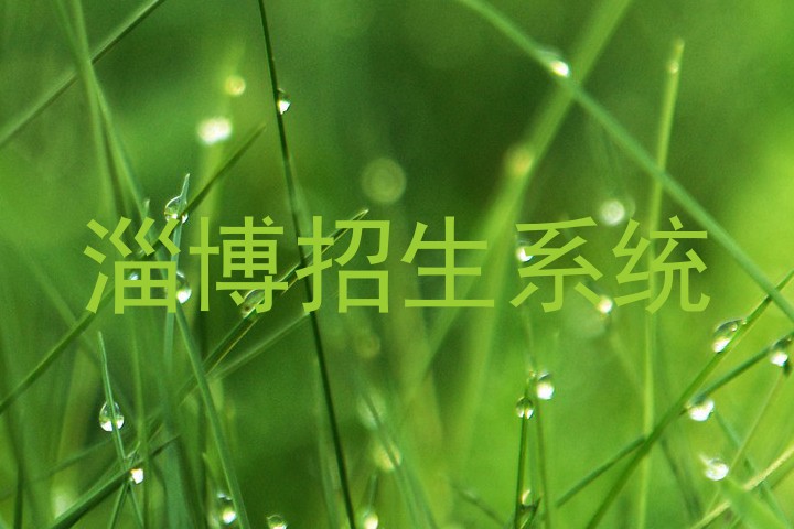 淄博招生系统