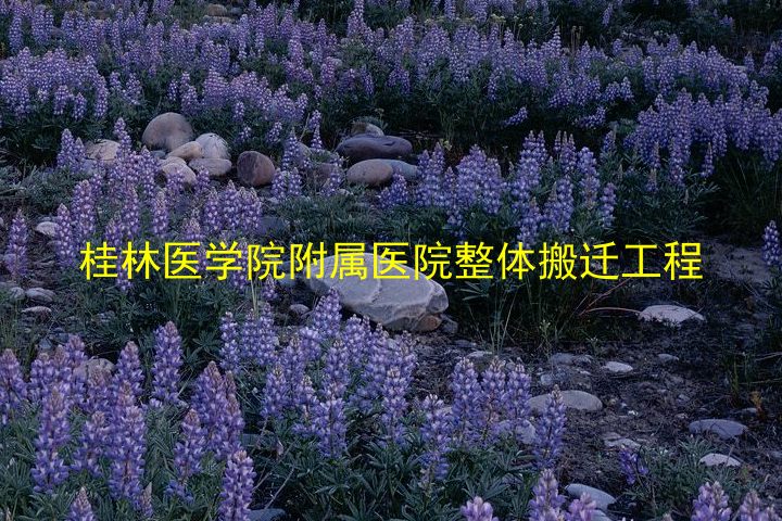 桂林医学院附属医院整体搬迁工程