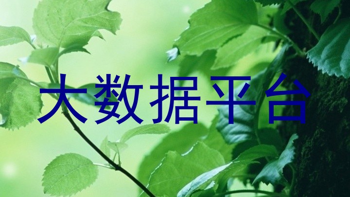 大数据平台