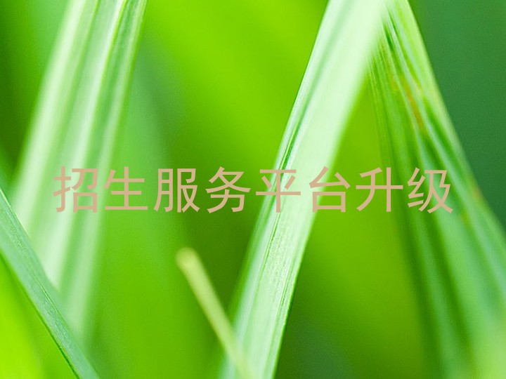 招生服务平台升级