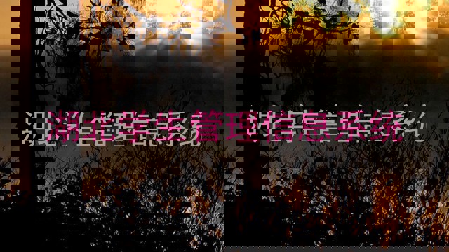 湖北学生管理信息系统