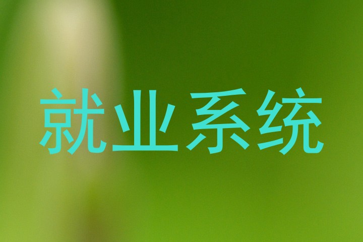 就业系统