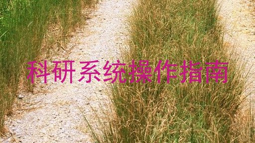 科研系统操作指南