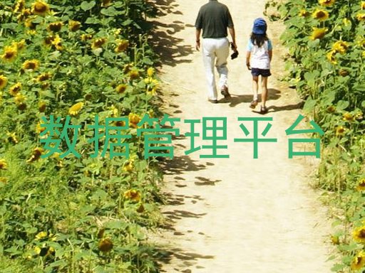 数据管理平台