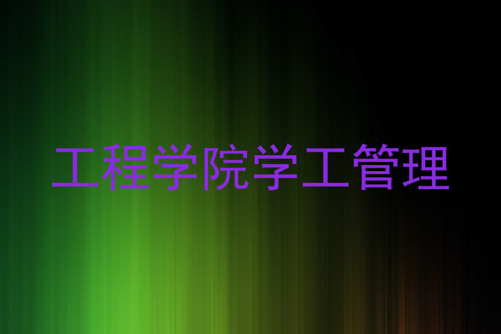 工程学院学工管理