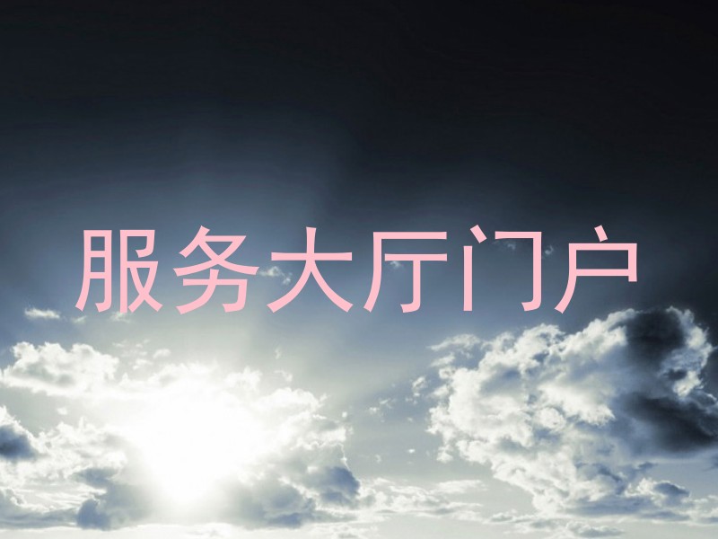 服务大厅门户