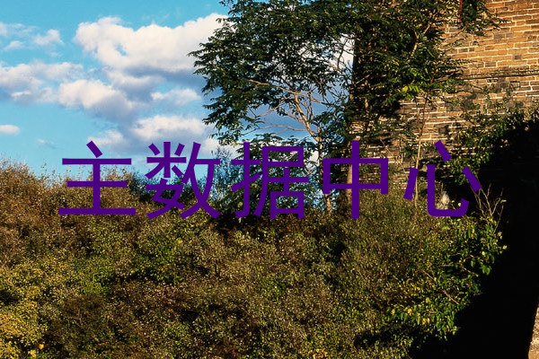 主数据中心