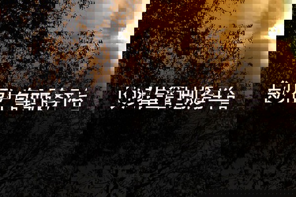 长沙招生管理服务平台