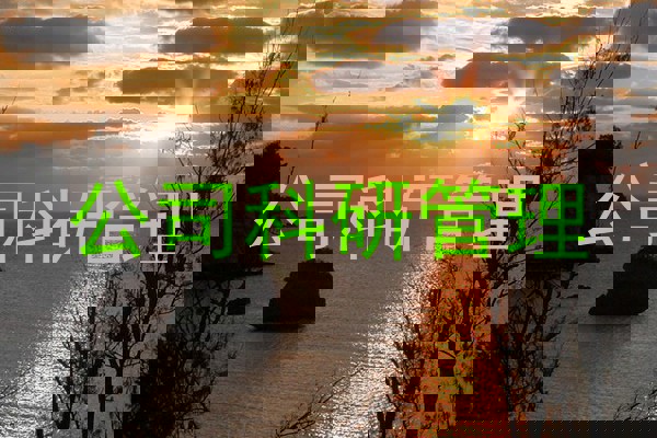 公司科研管理
