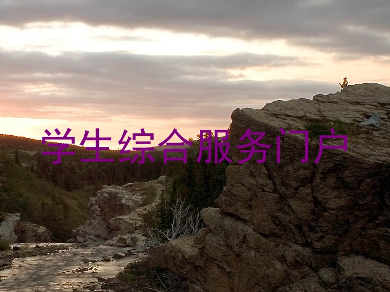 学生综合服务门户