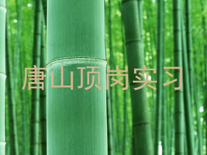 唐山顶岗实习