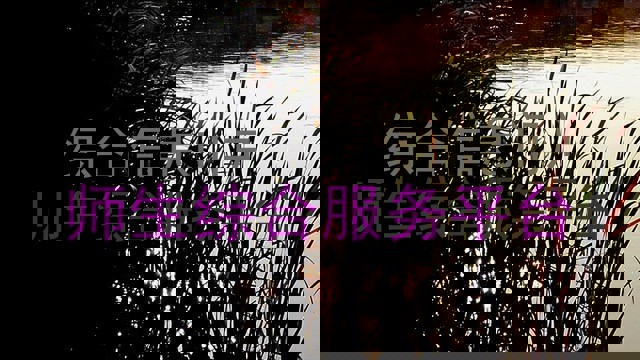 综合信息门户|师生综合服务平台