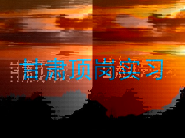 甘肃顶岗实习